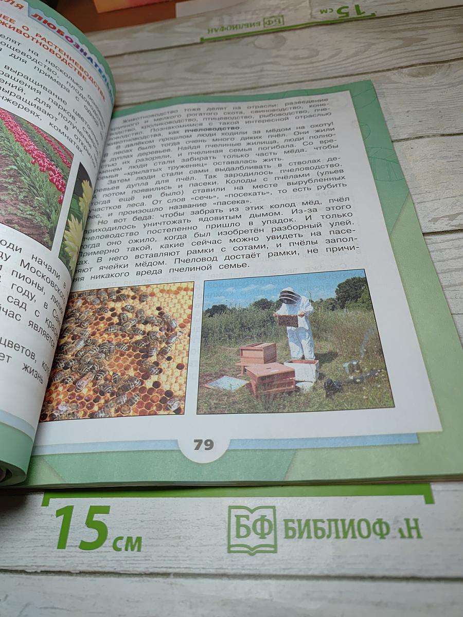 Окружающий мир 3 класс. Часть 2