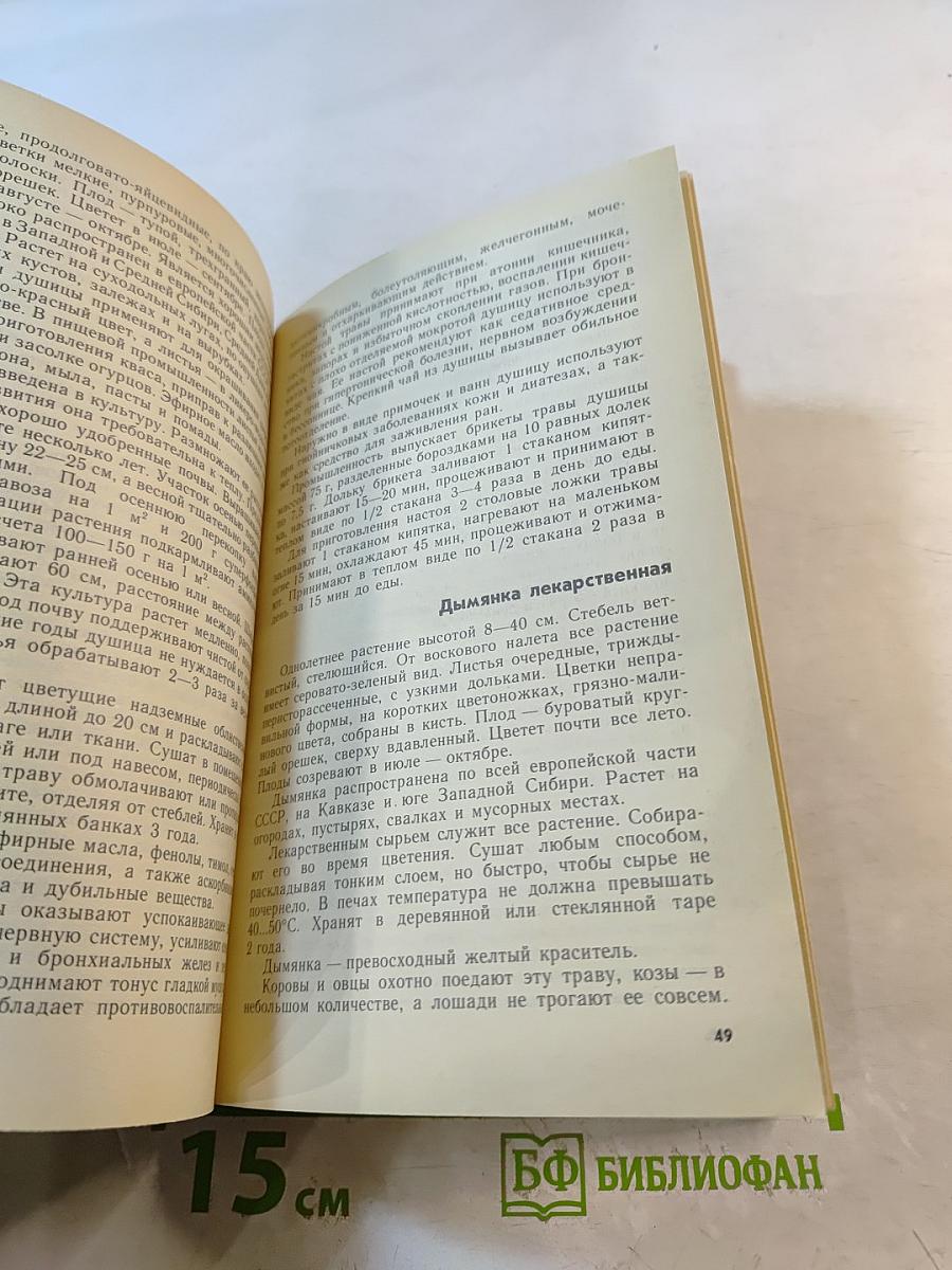 Растения – друзья здоровья