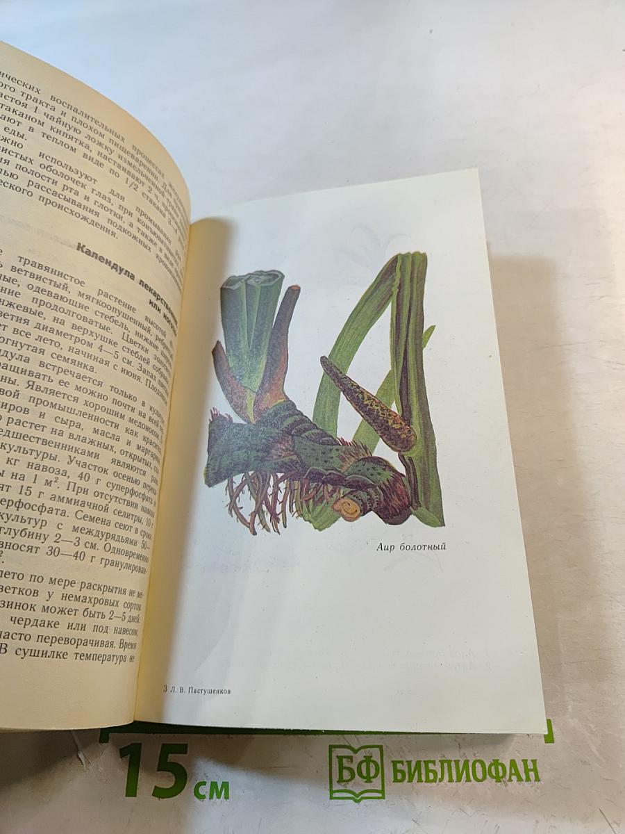 Растения – друзья здоровья