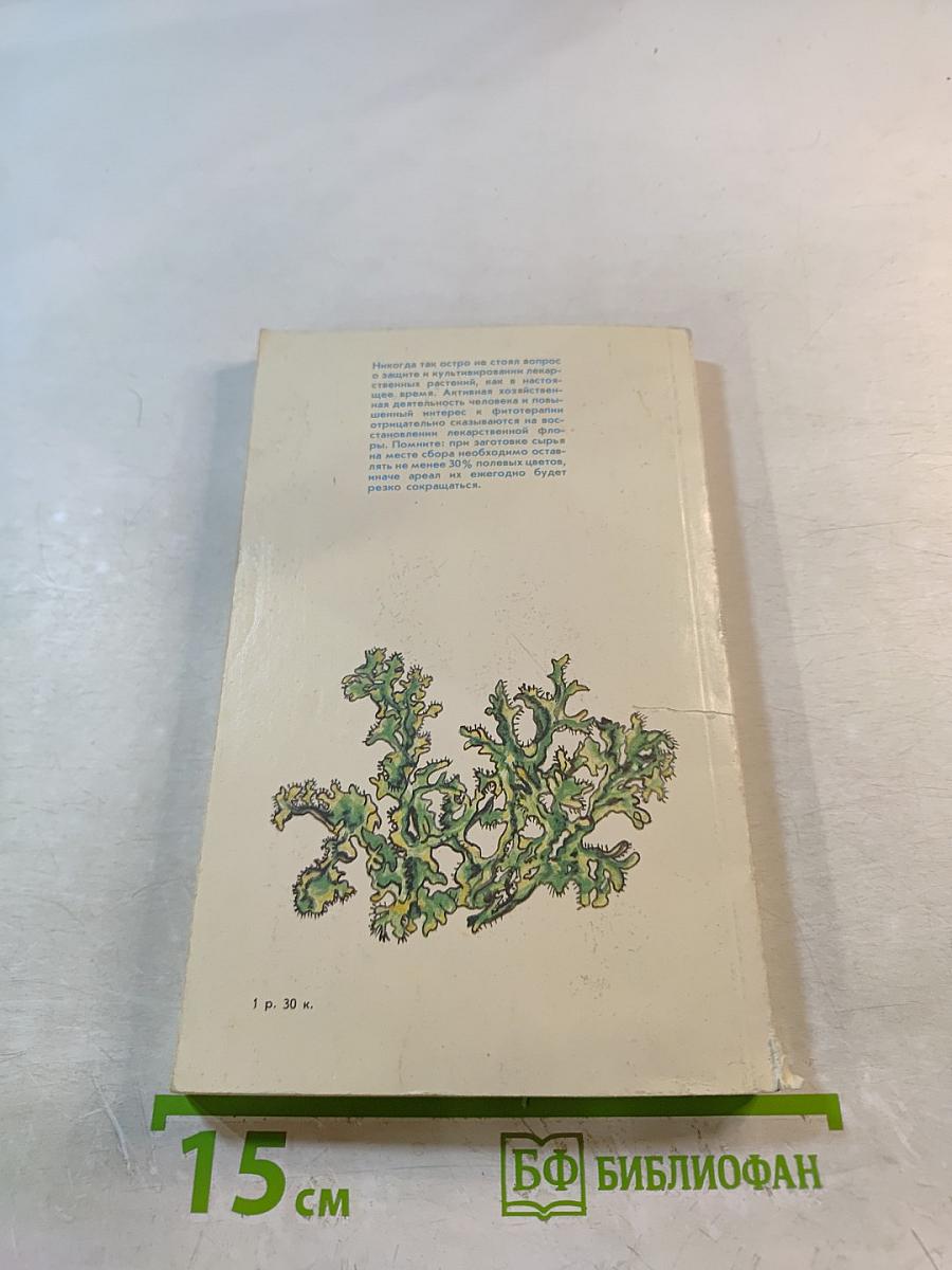 Растения – друзья здоровья