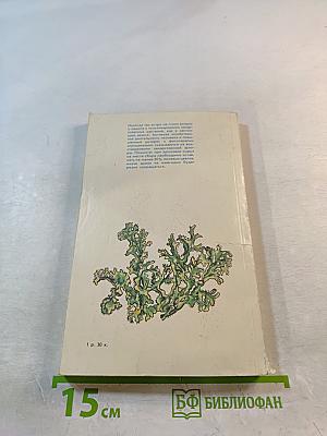 Растения – друзья здоровья