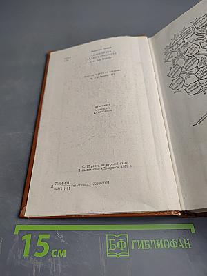 Железный король; Узница Шато-Гайара