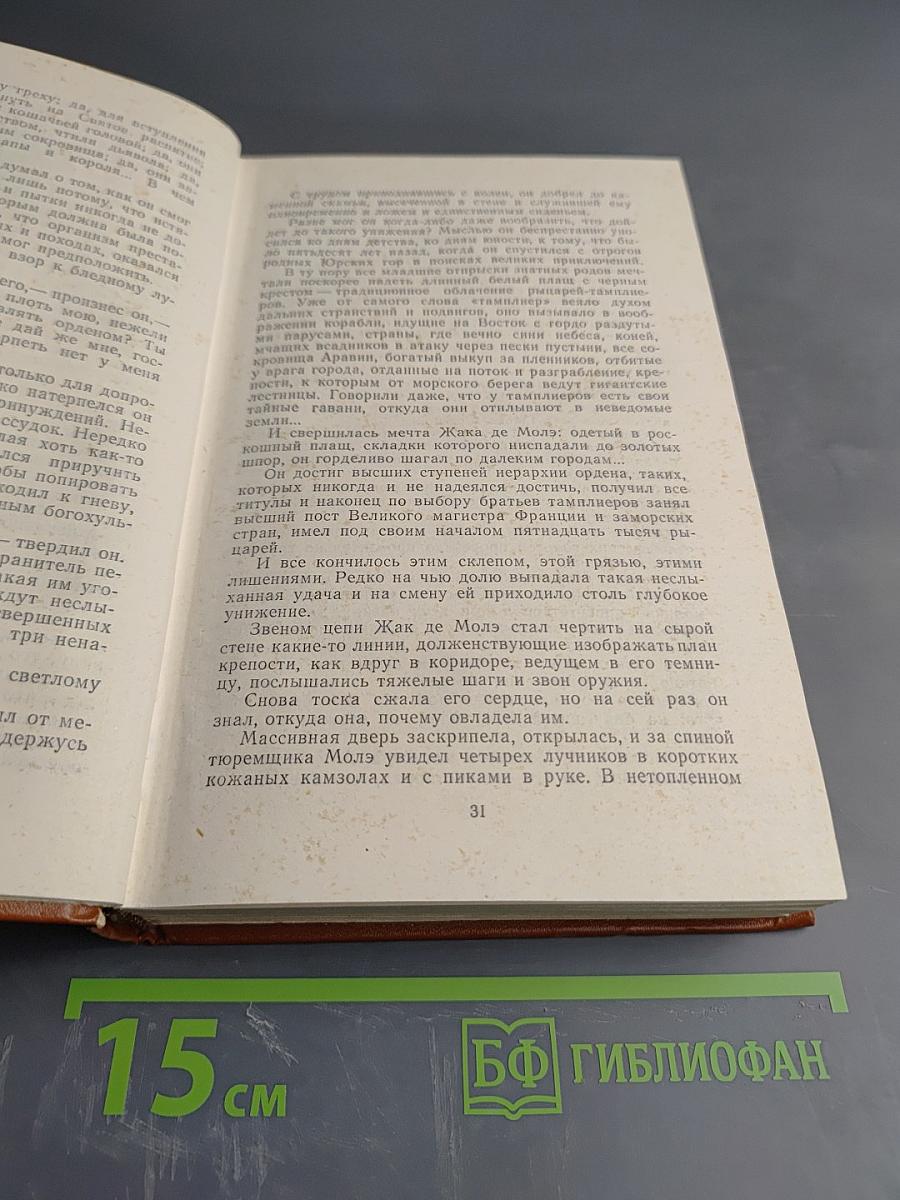 Железный король; Узница Шато-Гайара