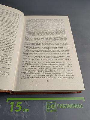 Железный король; Узница Шато-Гайара