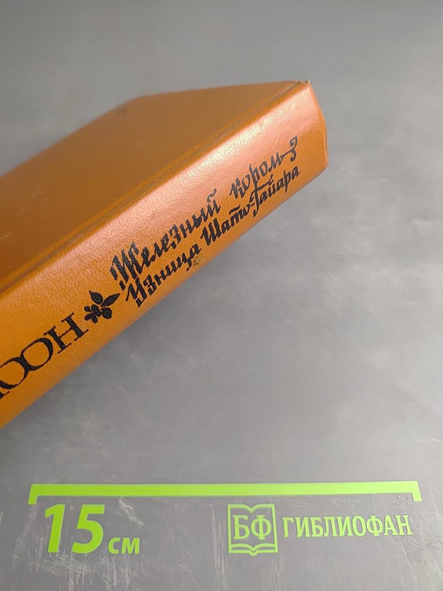 Железный король; Узница Шато-Гайара