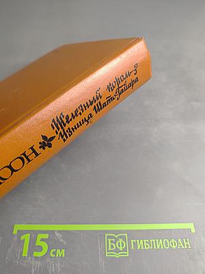 Железный король; Узница Шато-Гайара