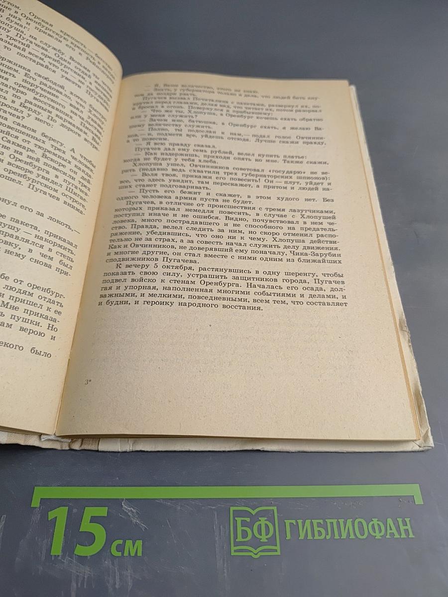 Емельян Пугачев. Книга для учащихся средних и старших классов