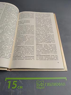 Комнатное овощеводство