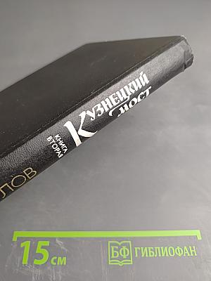 Кузнецкий мост. Книга 2