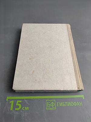 Багратион в Петербурге