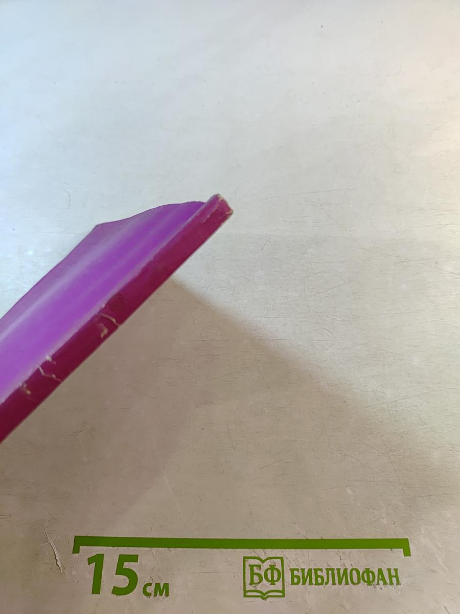 Контроль и бухгалтерская экспертиза (практический аспект)