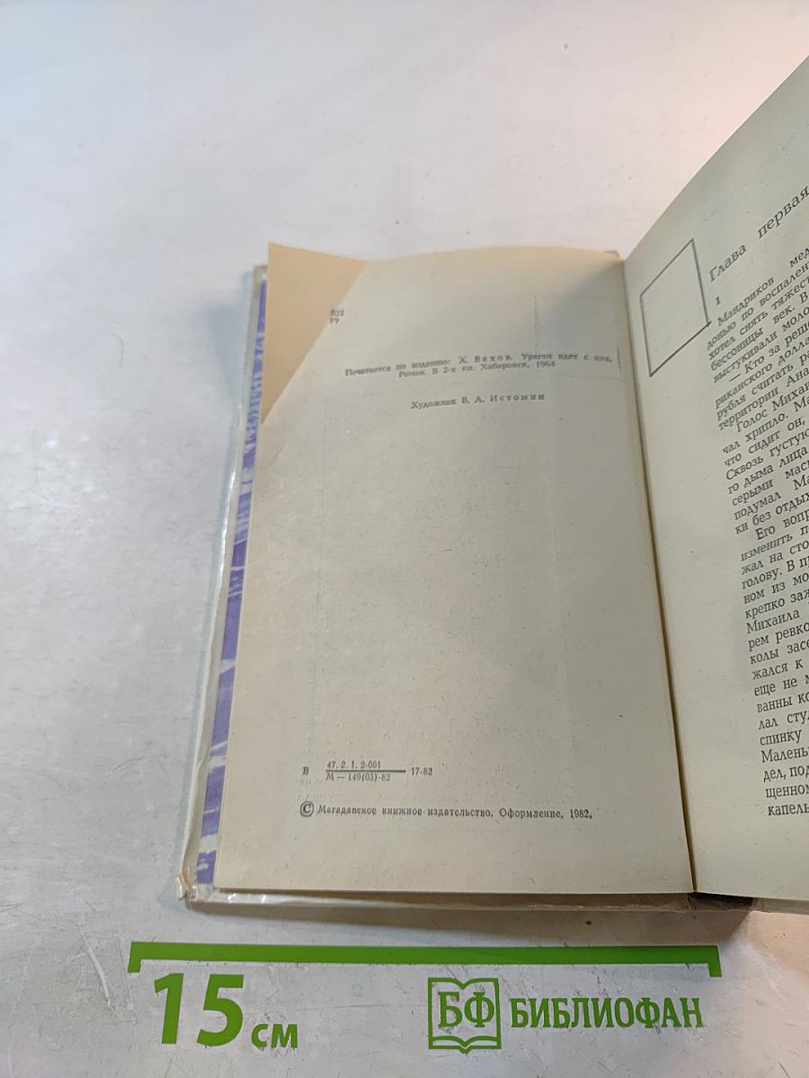 Пурга в ночи