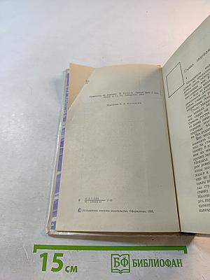 Пурга в ночи