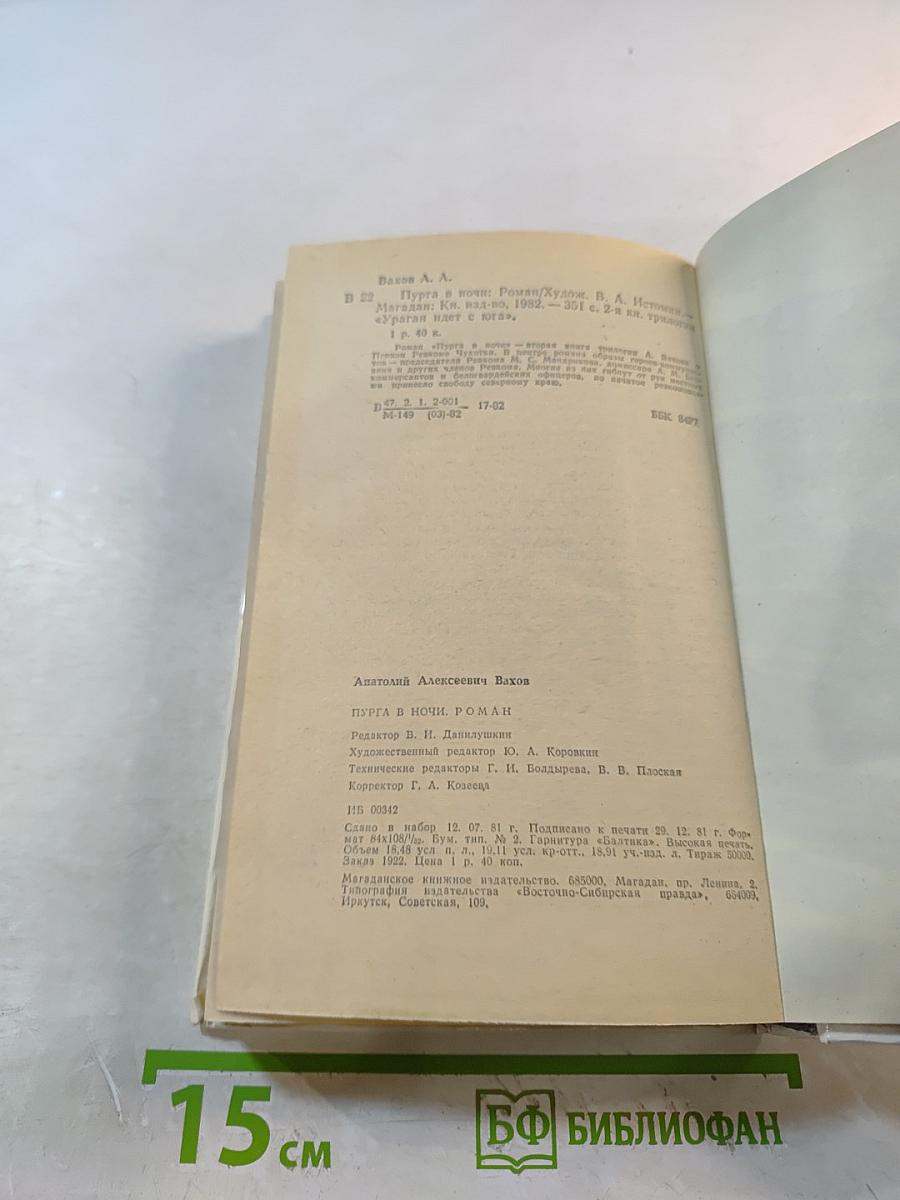 Пурга в ночи