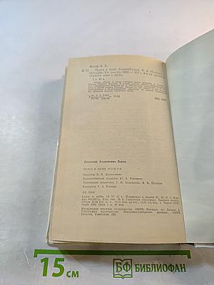 Пурга в ночи