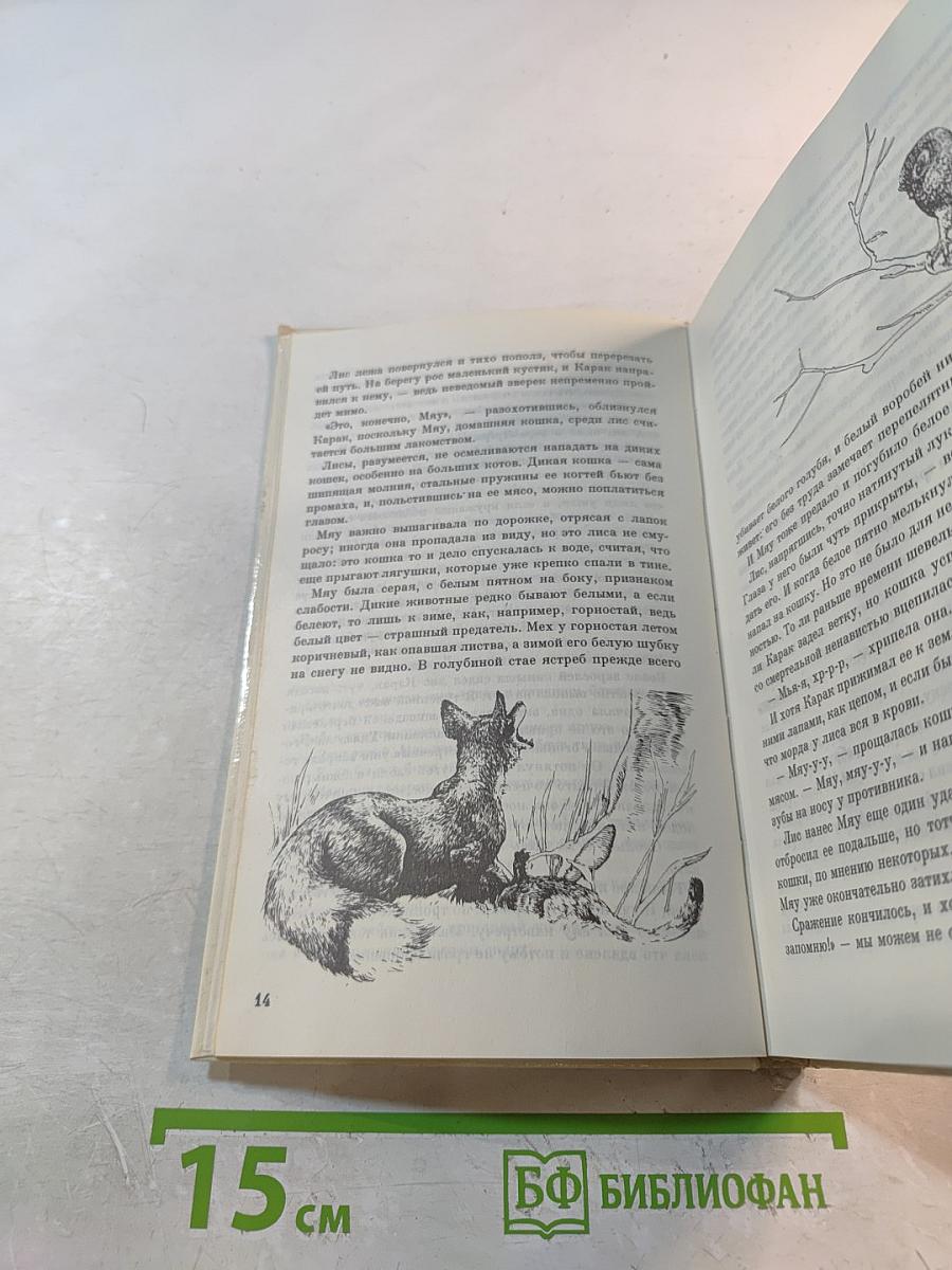 ЛУТРА. История одной выдры