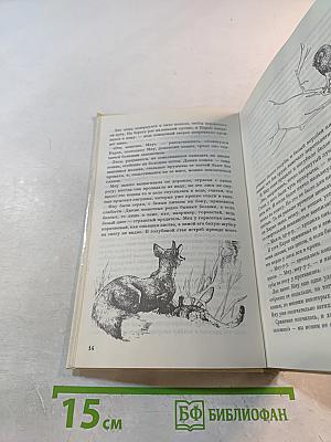 ЛУТРА. История одной выдры