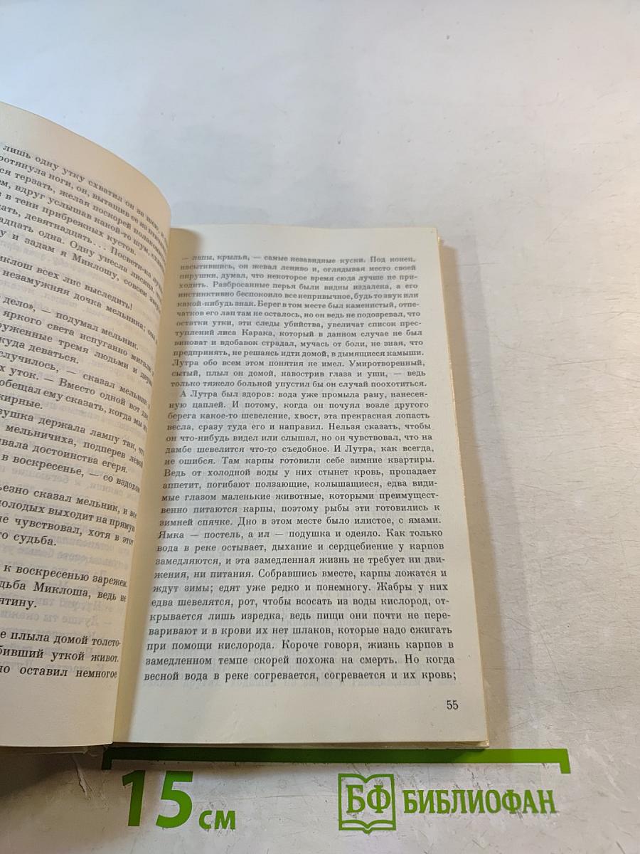 ЛУТРА. История одной выдры