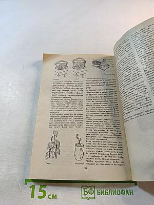 Мы хорошо готовим