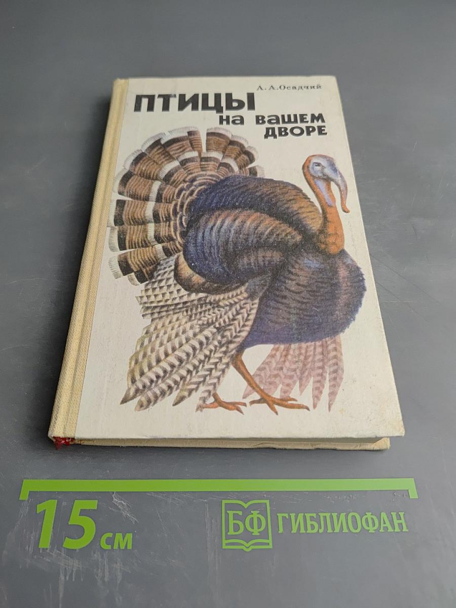 Птицы на вашем дворе