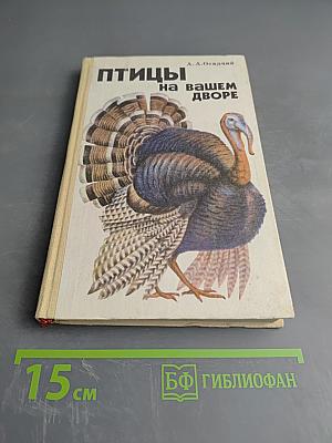 Птицы на вашем дворе