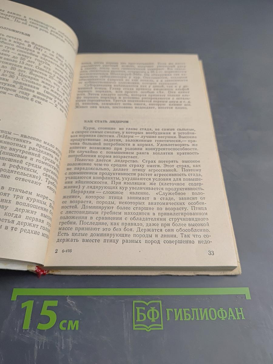 Птицы на вашем дворе