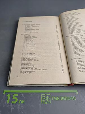 Птицы на вашем дворе