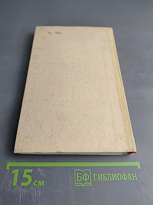 Птицы на вашем дворе