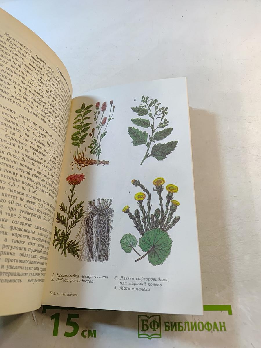 Растения - друзья здоровья