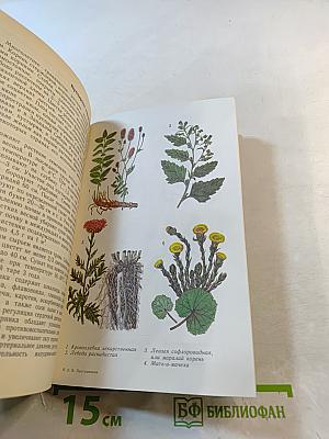 Растения - друзья здоровья