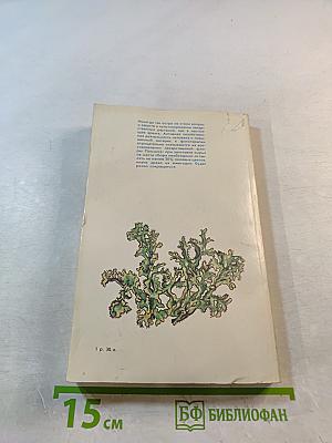 Растения - друзья здоровья