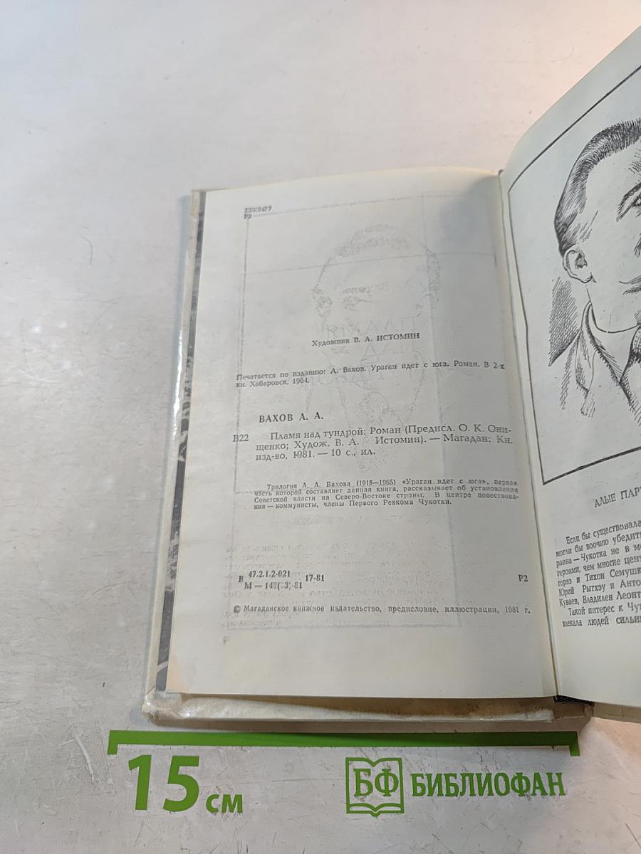 Пламя над тундрой