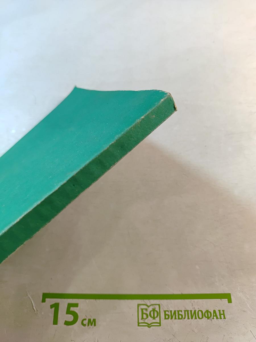 Английский язык. Интенсивный курс