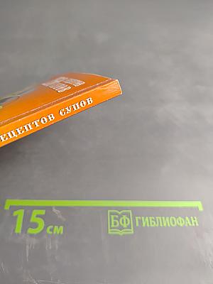 250 рецептов супов