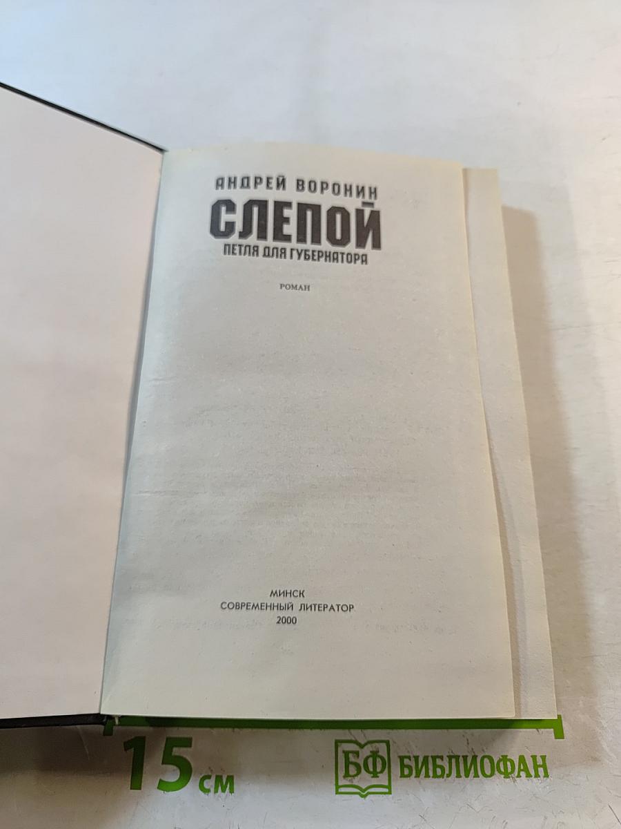 Слепой. Петля для губернатора