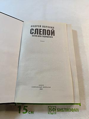 Слепой. Петля для губернатора