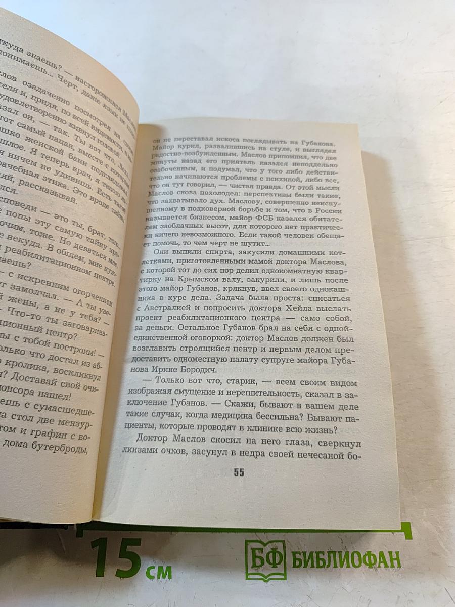 Слепой. Петля для губернатора