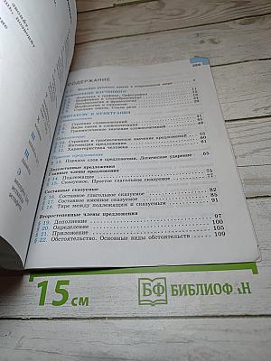 Русский язык 8 класс