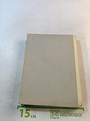 Чего не знает болельщик