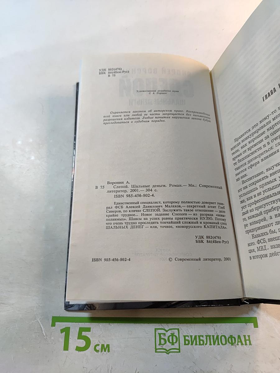 Слепой. Шальные деньги