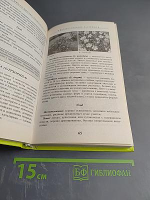 Великолепный САД: Быстро, легко, стильно