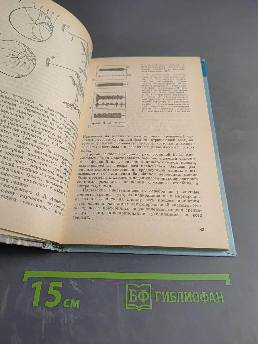 Говорящие птицы