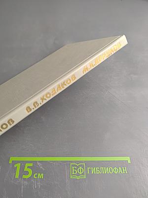 Очерки лапароскопической хирургии