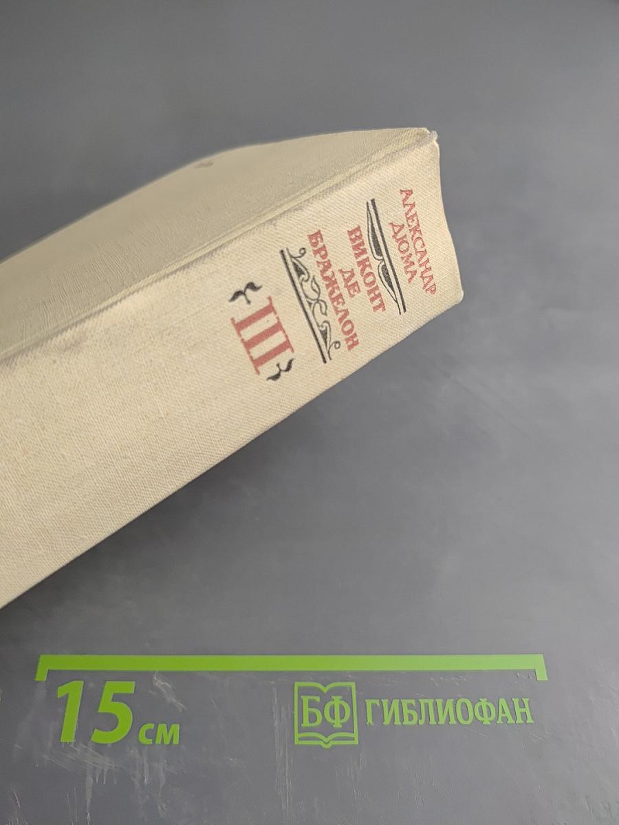 Виконт де Бражелон, или Десять лет спустя. Том 3 (Части 5, 6)