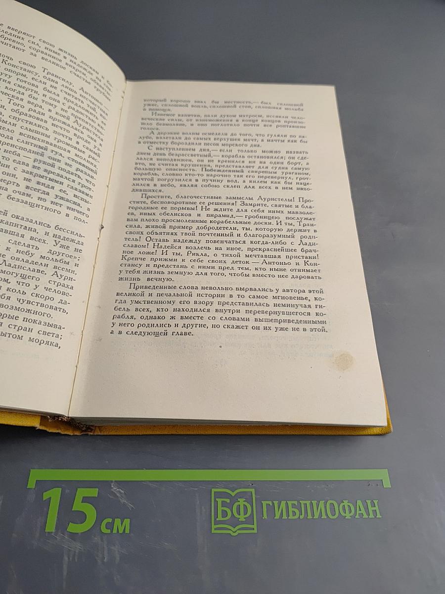 Странствия Персилеса и Сихизмунды. Том 5