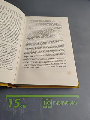 Странствия Персилеса и Сихизмунды. Том 5