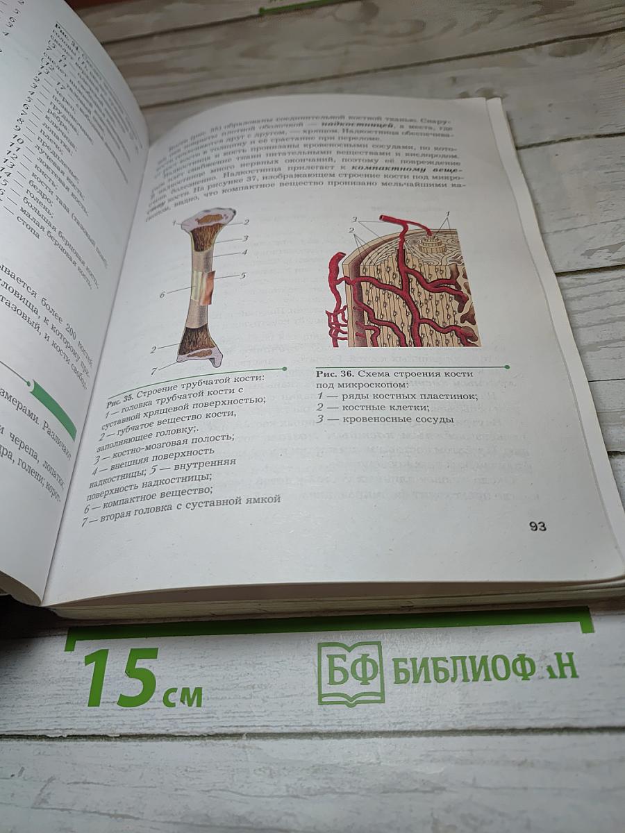 Биология 9 класс