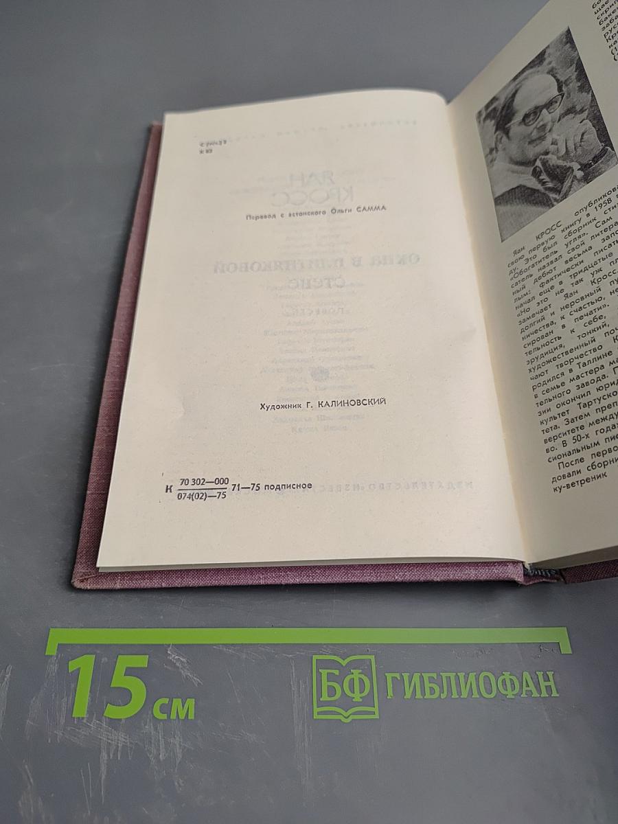 Окна в плитняковой стене