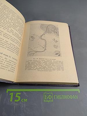 Основы топической диагностики заболеваний нервной системы