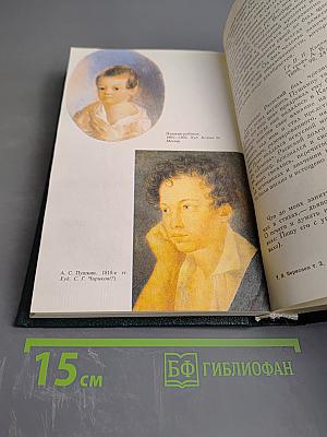 Пушкин в жизни (Том 2 из «Сочинений в четырех томах»)